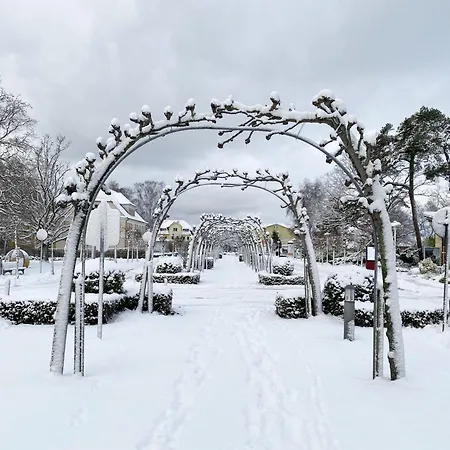 Haus Strandkiefer Villa Baabe